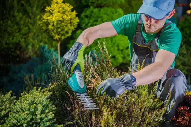 landscaping services LaGrange